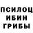 Галлюциногенные грибы Cubensis Di Av
