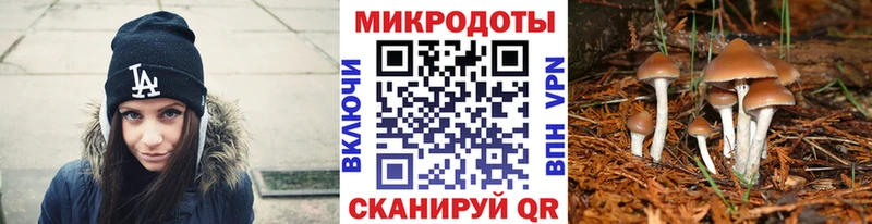 Псилоцибиновые грибы Magic Shrooms Подольск