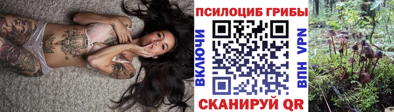 Псилоцибиновые грибы мухоморы Подольск